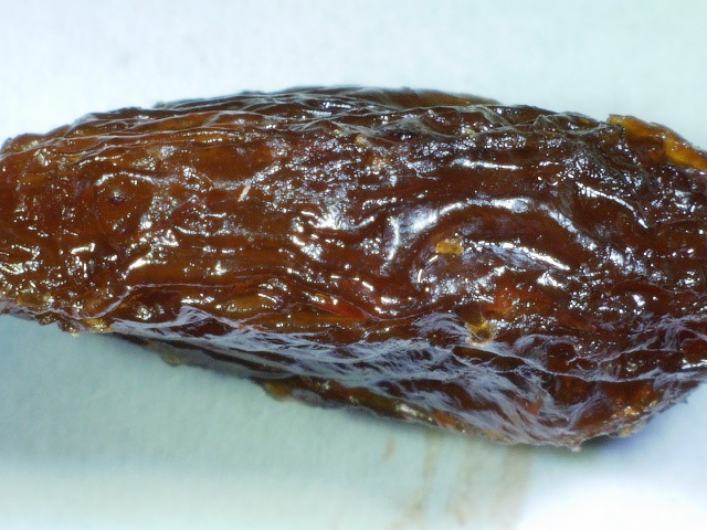 2020 0101 000206 023