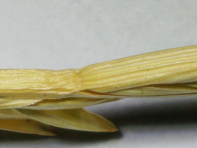 2020 0626 105655 002