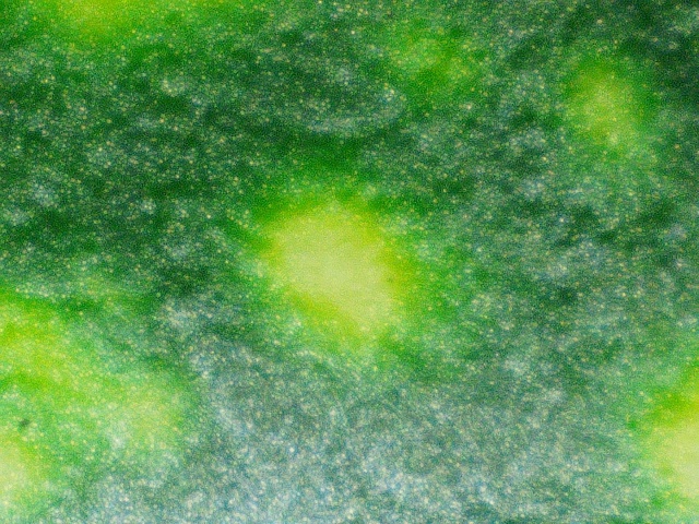 2020 0626 105746 004