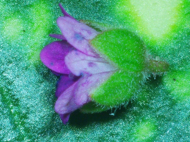 2020 0626 110008 006