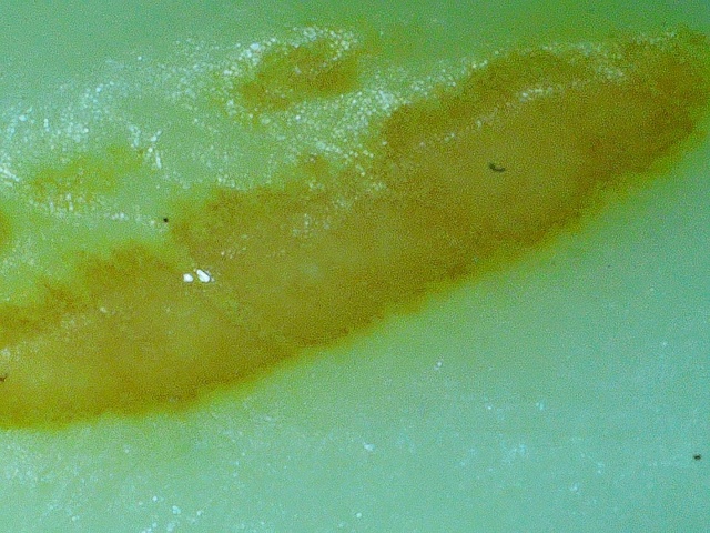 2020 0626 110128 007