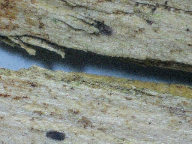 2020 0626 110232 009