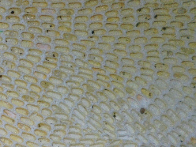 2020 0626 110526 012