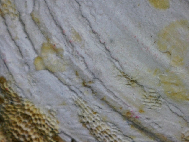 2020 0626 110639 013