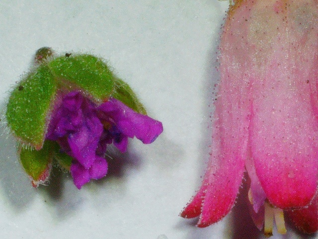 2020 0626 111346 015