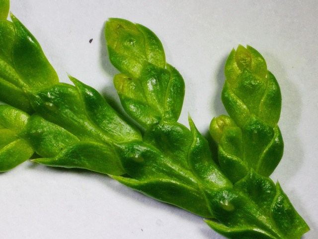 2020 0626 111757 017