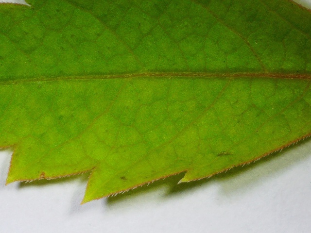 2020 0626 111859 019