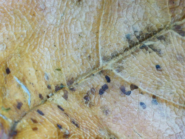 2020 0626 112623 021