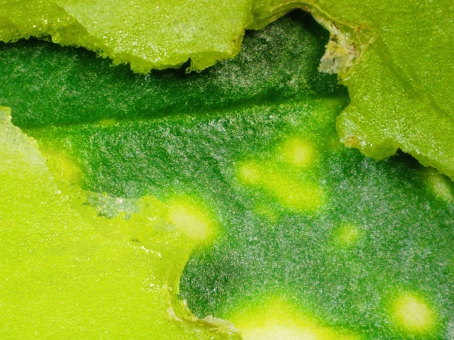 2020 0626 112729 022