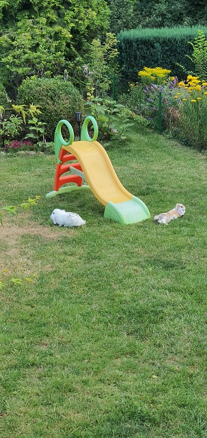 13156B02C369D020804C34C8252268CD