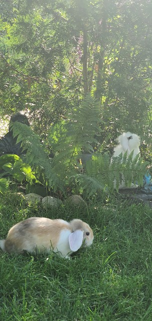 21FADB03E30758CB250E63FB97423568