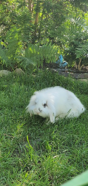 3CB6725EA084221AD6A03A630F653953