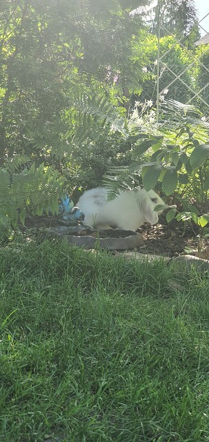 4E76819B28A6799AC3375A64F6470CD2