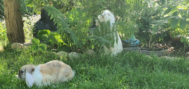 6C4224242C80C0E34B5B1C12CE059A4D