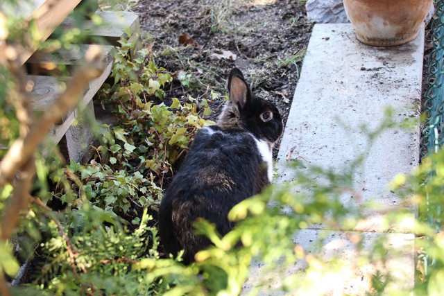 6EC935CA6F167A7D6A691BCA3D2D4957