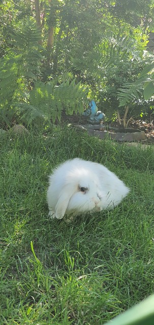 7B06EDFACD429E9427C565353E30881F