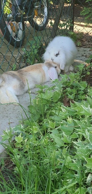 7D6CF9737D8B300B5C12FF820A409BE3