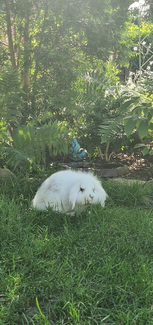 AEBAE2F41249CB98948986C3731BDF9D