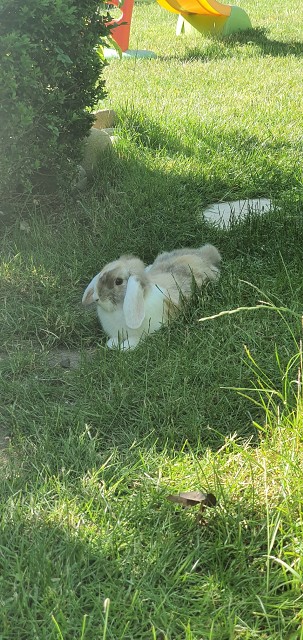 C0CCA5B4395080D910DDE7CC1EC46BFF