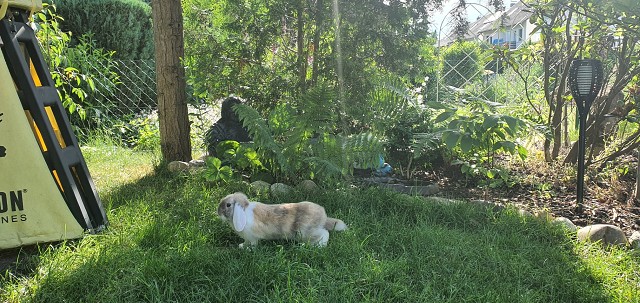 EAFE921D001C8C66AFC8D71CA2E51BBF