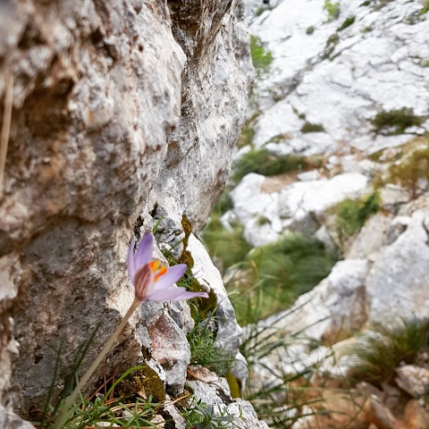 2FDD364F411159A6FC2BFC25F6576E29