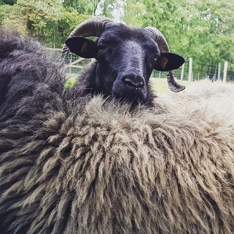 F016B07400CAC70B590455C85136CB43