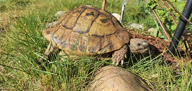 01A48AADF86CCFE88FF96EEF30857A7A