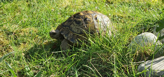 19E5898AC0F7982088E1A293EA00BBB3