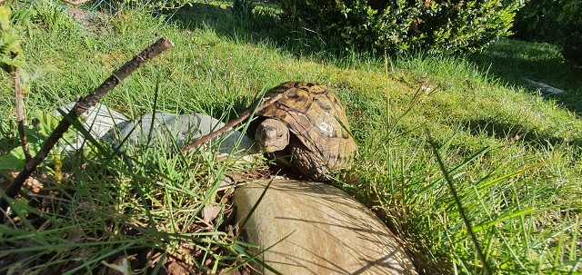 2FEB8734A9AA05B7F92232AEA4811876