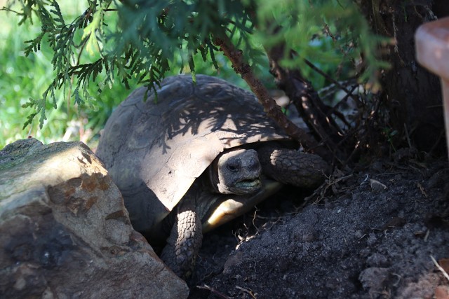 494BF1525517E1AE6CB63B57477F41B2