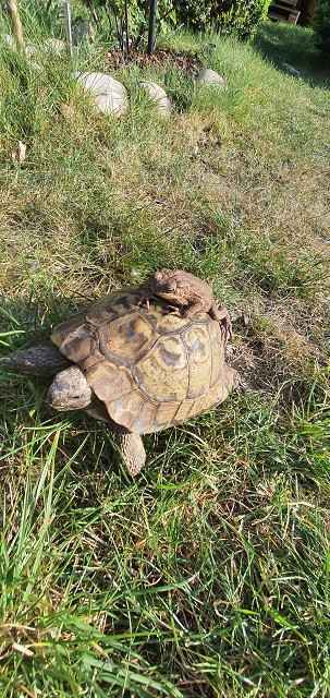 8638161CCCD2F6AE738DEEF3033C8C9C