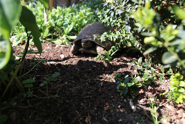 B49FD12897F25ED4974C69C3BA7B7F25