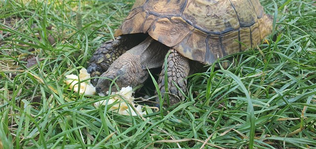 C9C886CDBC24967DDC6807BC6B01434D