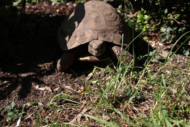 FD9487EF125B4587E5D14C957272E60C